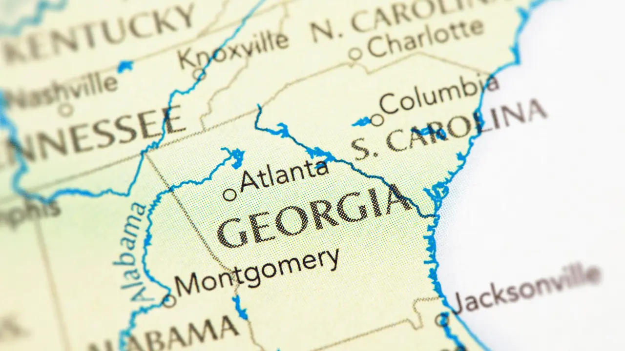 Georgia'da Şirket Kurmak: LLC Avantajları ve Lojistik | Locsy